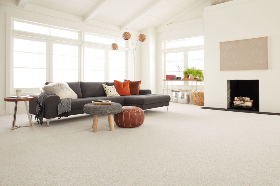 carpet in living room